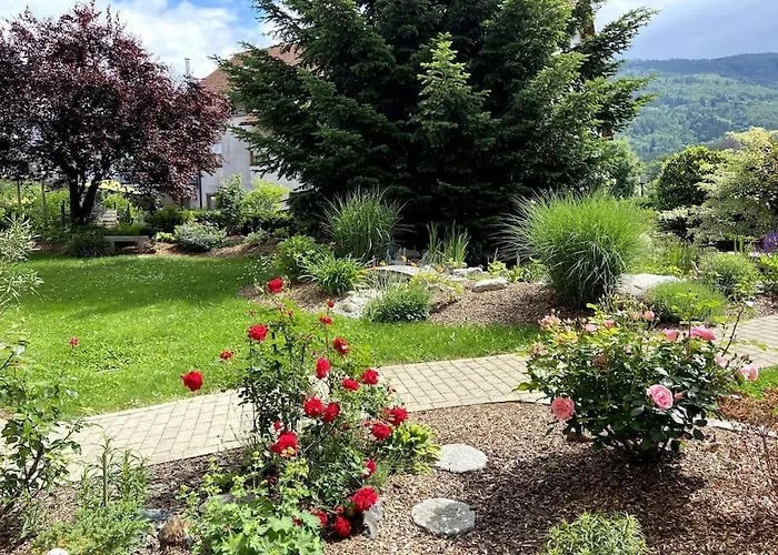 Appartement Aussichtsreich Wehr (Baden-Wurttemberg)